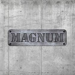 Strzelanki ASG - Magnum Arena