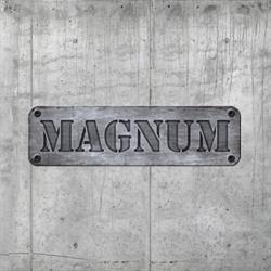 Strzelanki ASG - Magnum Arena