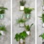 Kwietniki loft patihome.pl