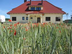 Agroturystyka Miódmalina - catering - imprezy okolicznościowe - Murowana Goślina