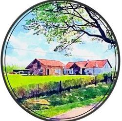 Agroturystyka Badzińscy
