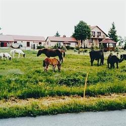 Ostoja Bachus - Gospodarstwo Agroturystyczne
