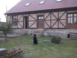 Agrokorytnica