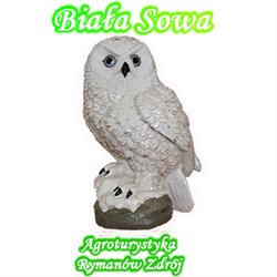 Agroturystyka "Biała Sowa"