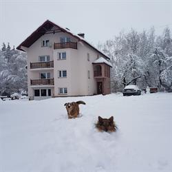 Agroturystyka "Pod Skałą" Wolica