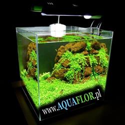 AQUAFLOR