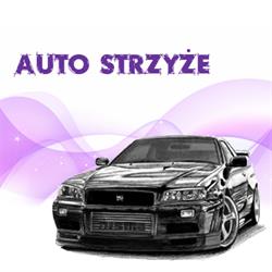 Auto Strzyże - Blacharstwo. Piaskowanie. Konserwacja podwozia. Zbieżność. Wulkanizacja.