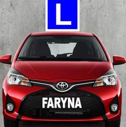 Szkoła jazdy "Faryna" - Wojciech Borczyk