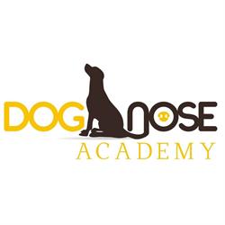 DOG NOSE ACADEMY Szkolenie i tresura psów, behawiorysta zwierzęcy, przedszkole dla szczeniąt