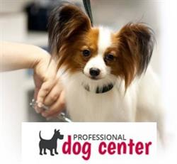 Professional Dog Center