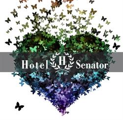 Hotel Senator Katowice