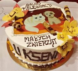 Salon Pielęgnacji Małych Zwierząt "U Kseni" Ksenia Cioska - psi fryzjer