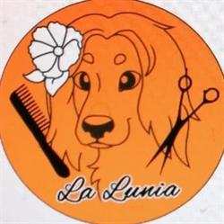 Psi fryzjer Opole - La Lunia Salon Groomerski