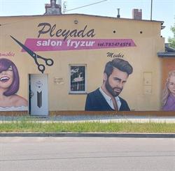 Salon fryzjerski Pleyada