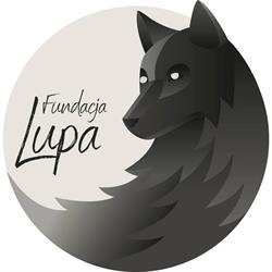 Fundacja Lupa