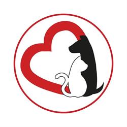 Fundacja tyMMMczasy