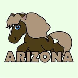 Stajnia Arizona