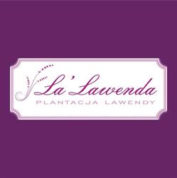 Plantacja lawendy La'Lawenda