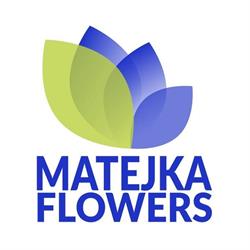 Matejka Flowers