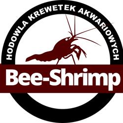 Bee-shrimp