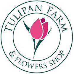 Tulipan Farm & Flowers Shop Kwiaciarnia