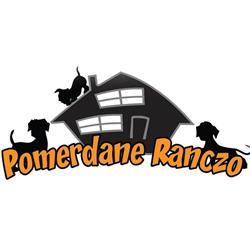 Pomerdane Ranczo Hotel I Szkolenie Psów Agnieszka Buczyńska