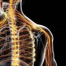 Rehabilitacja Chełmno - Gabinet terapii manualnej i rehabilitacji