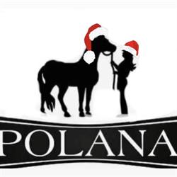 Stajnia Polana