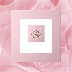 Orchidea Beauty Studio Pięknego Ciała