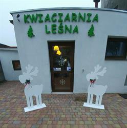 Kwiaciarnia Leśna