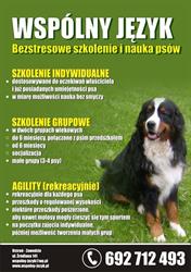 Wspólny język