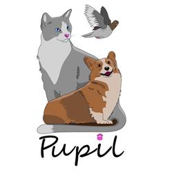 Gabinet Weterynaryjny "Pupil" lek. wet. Karolina Ściubisz. Dietetyk psów i kotów