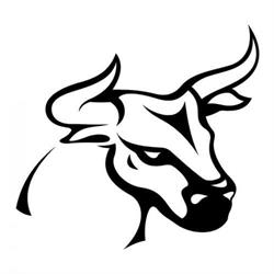 Szkoła Jazdy Taurus