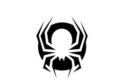 SPIDER LUBLIN sklep terrarystyczny