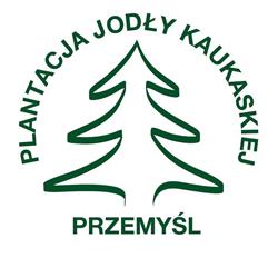 Miasteczko choinkowe-Plantacja jodły kaukaskiej Przemyśl