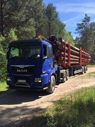 Transport drewna Targosz Michał