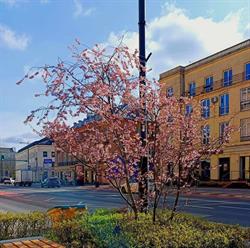 Szkoła Podstawowa im. Marii Konopnickiej w Byszewie