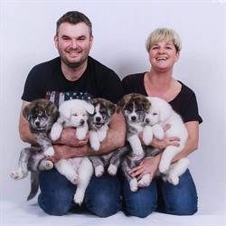 Akita kennel - Azuma No Inu