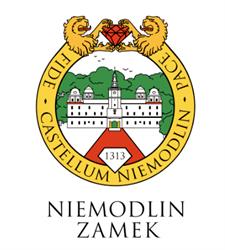Zamek Książęcy Niemodlin 1313