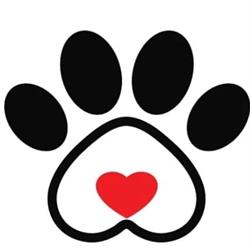 WET-DOG Gabinet Weterynaryjny i Salon Pielęgnacji Zwierząt