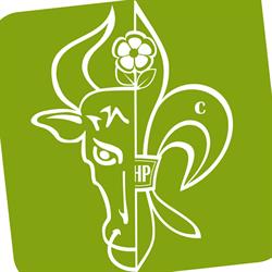 Chorągiew Kujawsko-Pomorska ZHP. Hufiec Chojnice