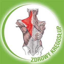 Zdrowy Kręgosłup Małgorzata Majewska
