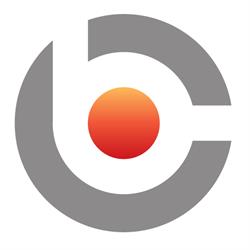 Biznes Consulting