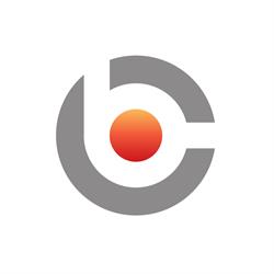 Biznes Consulting