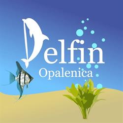 Delfin sklep zoologiczno-wędkarski