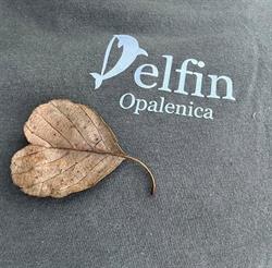 Delfin sklep zoologiczno-wędkarski