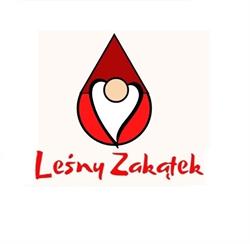 Leśny Zakątek - Rekreacja dla dzieci i młodzieży, wytchnienie dla rodzin.