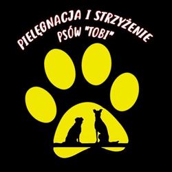 Strzyżenie i pielęgnacja psów "Tobi"