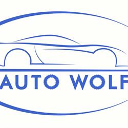AUTO WOLF Okręgowa Stacja Kontroli Pojazdów