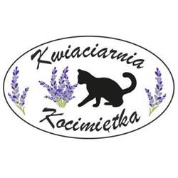 Kwiaciarnia Kocimiętka Wronki